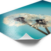 Dandelion Blue Sky Foto Afdruk (Hoek)