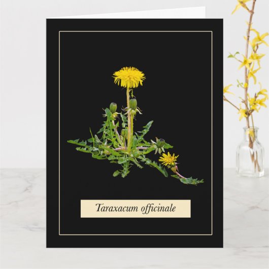 Dandelion botanical kaart (Gele Bloem)
