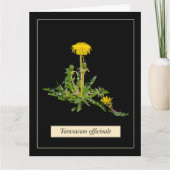 Dandelion botanical kaart (Voorkant)