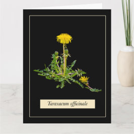 Dandelion botanical kaart
