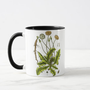 Dandelion Botanische illustratie Mok