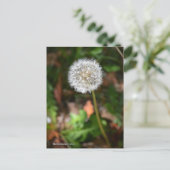 Dandelion Briefkaart (Staand voorkant)