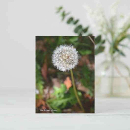 Dandelion Briefkaart (Staand voorkant)