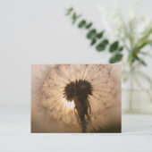 Dandelion Briefkaart (Staand voorkant)