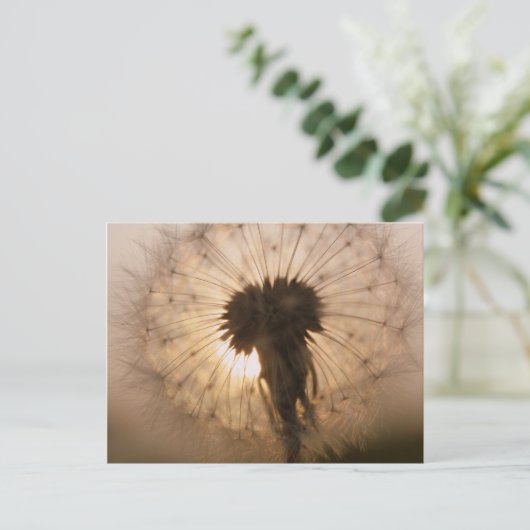 Dandelion Briefkaart (Staand voorkant)