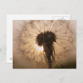 Dandelion Briefkaart (Voorkant / Achterkant)