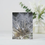 Dandelion Briefkaart (Staand voorkant)