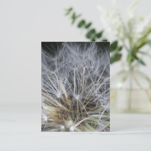 Dandelion Briefkaart (Staand voorkant)