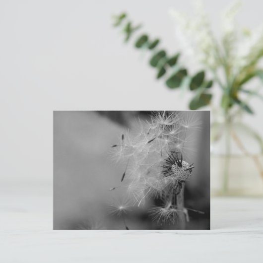 Dandelion Briefkaart (Staand voorkant)