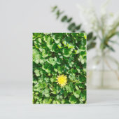 dandelion briefkaart (Staand voorkant)