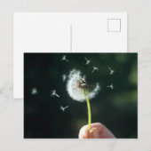 Dandelion Briefkaart (Voorkant / Achterkant)