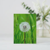 Dandelion - Briefkaart (Staand voorkant)