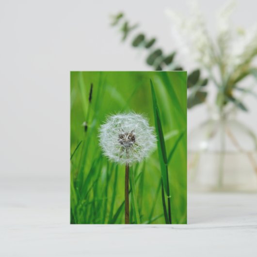 Dandelion - Briefkaart (Staand voorkant)