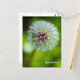 Dandelion Briefkaart