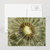 Dandelion Briefkaart (Voorkant / Achterkant)