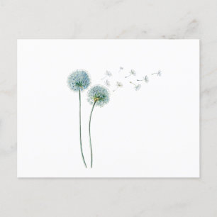 Dandelion Briefkaart
