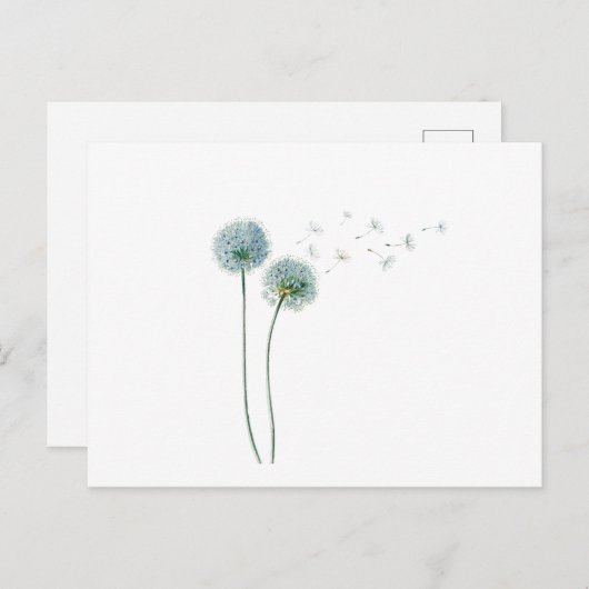 Dandelion Briefkaart (Voorkant / Achterkant)