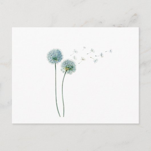 Dandelion Briefkaart (Voorkant)