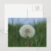 Dandelion Briefkaart (Voorkant / Achterkant)