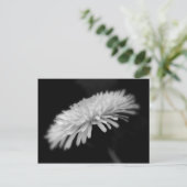 Dandelion Briefkaart (Staand voorkant)