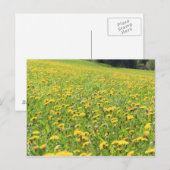 Dandelion Briefkaart (Voorkant / Achterkant)