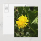 Dandelion Briefkaart (Voorkant / Achterkant)