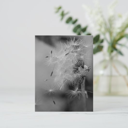 Dandelion Briefkaart (Staand voorkant)