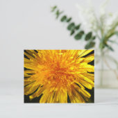 Dandelion - Briefkaart voor MS JOH 2011 (Staand voorkant)