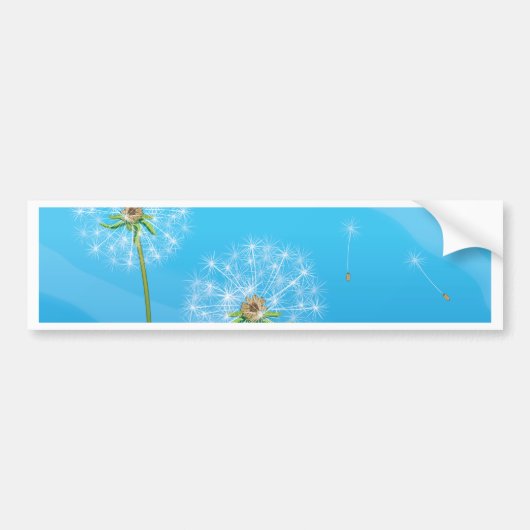 Dandelion Bumpersticker (Voorkant)
