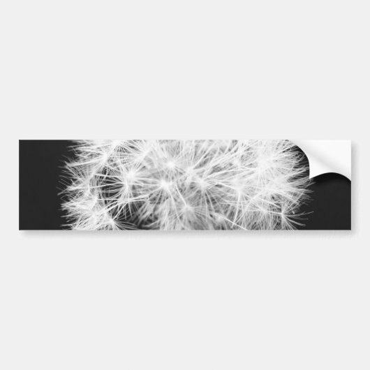 Dandelion Bumpersticker (Voorkant)