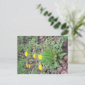 Dandelion Bundle Briefkaart (Staand voorkant)