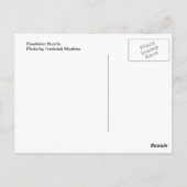Dandelion Bundle Briefkaart (Achterkant)