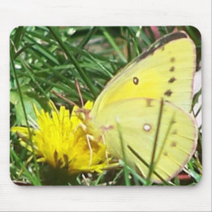 Dandelion Butterfly Muismat
