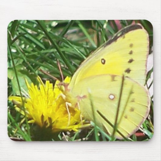 Dandelion Butterfly Muismat (Voorkant)