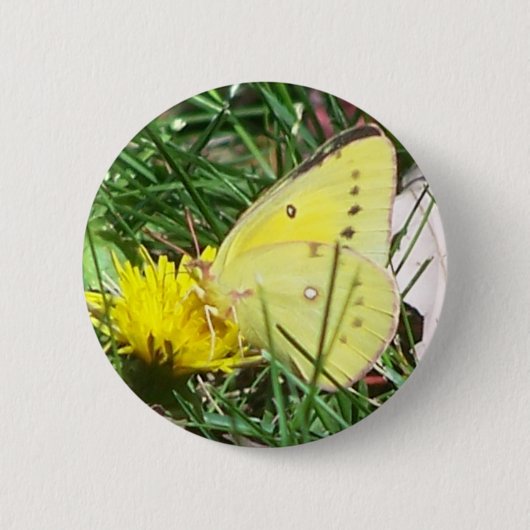 Dandelion Butterfly Ronde Button 5,7 Cm (Voorkant)