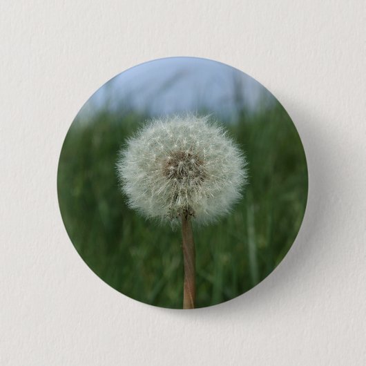 Dandelion Button (Voorkant)