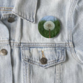 Dandelion Button (In situ)