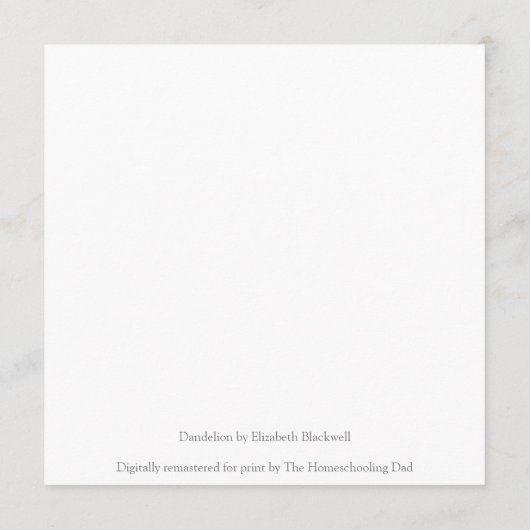Dandelion by Elizabeth Blackwell (Achterkant)