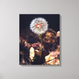 Dandelion Canvas Afdruk