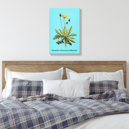 Dandelion Canvas Afdruk (Insitu (Slaapkamer))