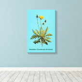 Dandelion Canvas Afdruk (Insitu (Houten vloer))