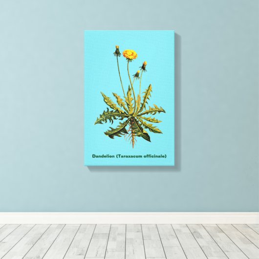 Dandelion Canvas Afdruk (Insitu (Houten vloer))