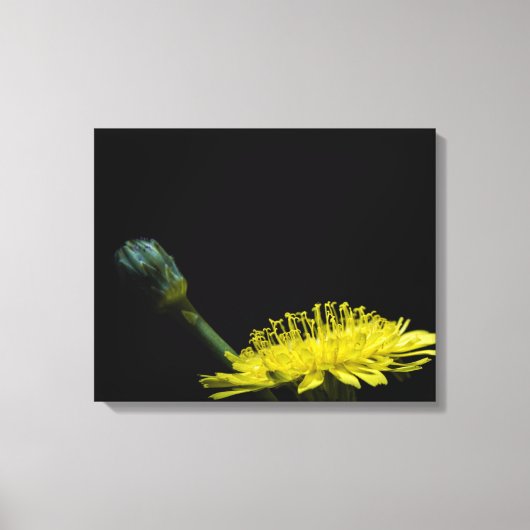 Dandelion Canvas Afdruk (Voorkant)