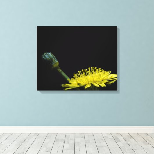 Dandelion Canvas Afdruk (Insitu (Houten vloer))