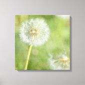 Dandelion Canvas Afdruk (Voorkant)