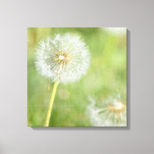 Dandelion Canvas Afdruk (Voorkant)