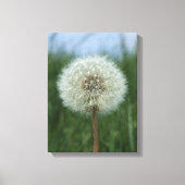 Dandelion Canvas afdrukken (Voorkant)