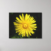 Dandelion Canvas afdrukken (Voorkant)