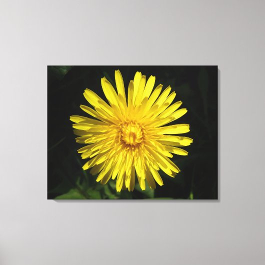 Dandelion Canvas afdrukken (Voorkant)