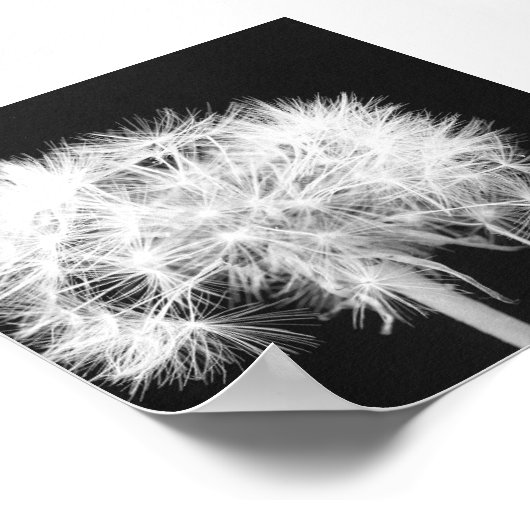 Dandelion Canvas afdrukken Poster (Hoek)
